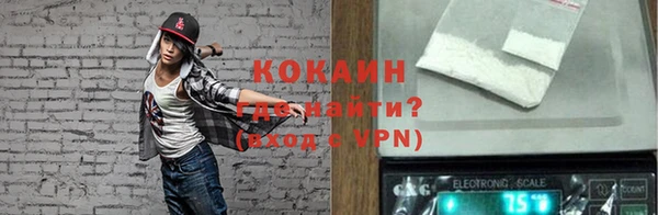 ешки Бронницы