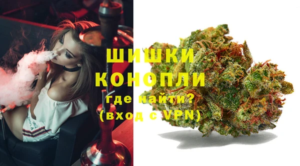 ешки Бронницы