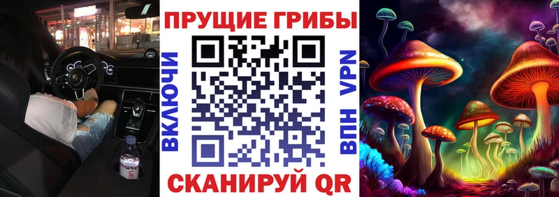 Галлюциногенные грибы мицелий  Верхний Тагил 